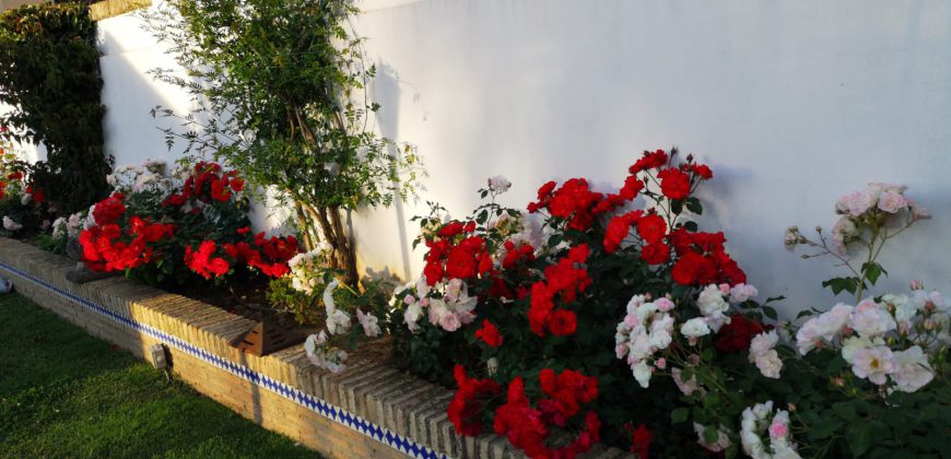 Chalet de lujo en Urbanización Privada.