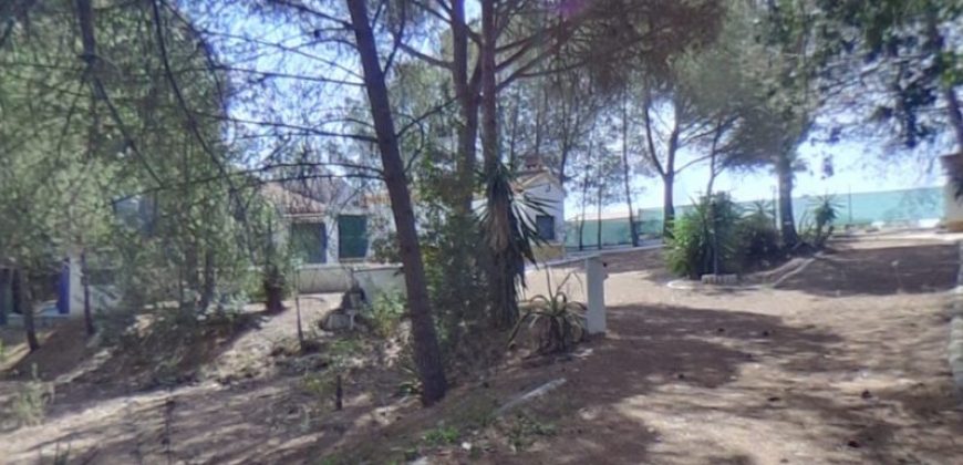 Chalet Urb. Entrepinos cerca del Rocio