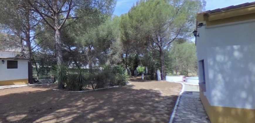 Chalet Urb. Entrepinos cerca del Rocio