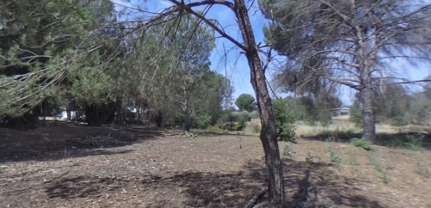 Chalet Urb. Entrepinos cerca del Rocio