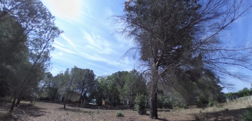 Chalet Urb. Entrepinos cerca del Rocio