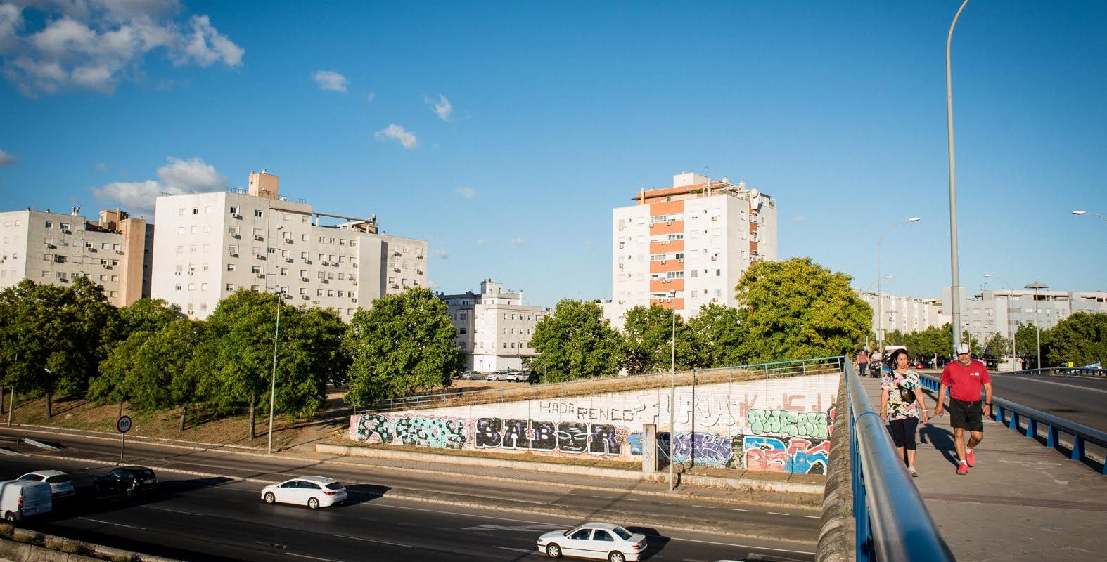 Inmobiliaria en La Negrilla y Palmete con Realidad Virtual y Tour 360